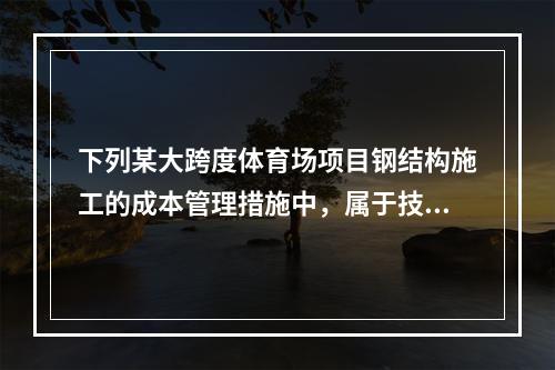 下列某大跨度体育场项目钢结构施工的成本管理措施中，属于技术措