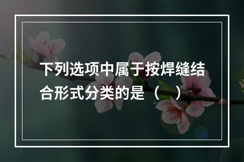 下列选项中属于按焊缝结合形式分类的是（　）