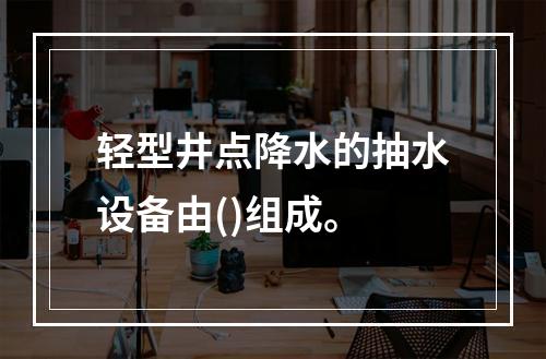 轻型井点降水的抽水设备由()组成。