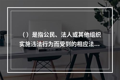 （ ）是指公民、法人或其他组织实施违法行为而受到的相应法律制