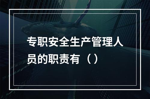 专职安全生产管理人员的职责有（ ）