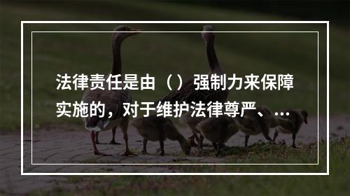 法律责任是由（ ）强制力来保障实施的，对于维护法律尊严、教育