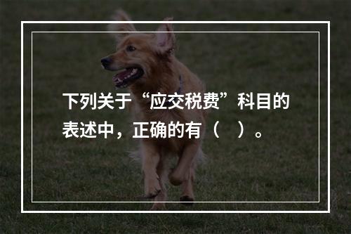 下列关于“应交税费”科目的表述中，正确的有（　）。