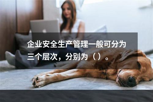 企业安全生产管理一般可分为三个层次，分别为（ ）。