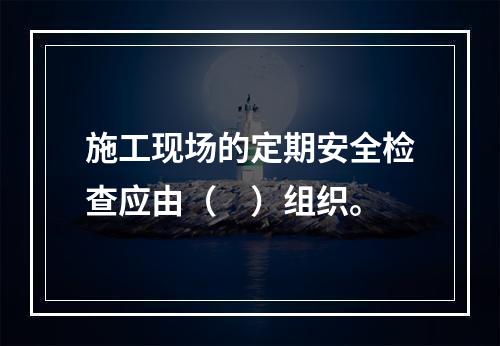 施工现场的定期安全检查应由（　）组织。