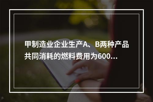 甲制造业企业生产A、B两种产品共同消耗的燃料费用为6000元