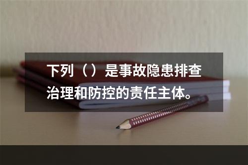 下列（ ）是事故隐患排查治理和防控的责任主体。