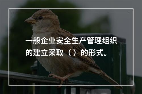 一般企业安全生产管理组织的建立采取（ ）的形式。