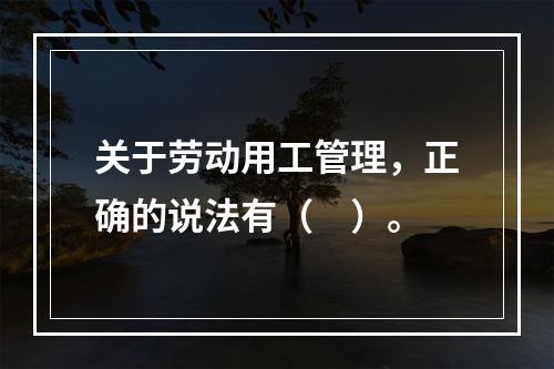 关于劳动用工管理，正确的说法有（　）。