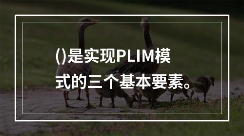 ()是实现PLIM模式的三个基本要素。