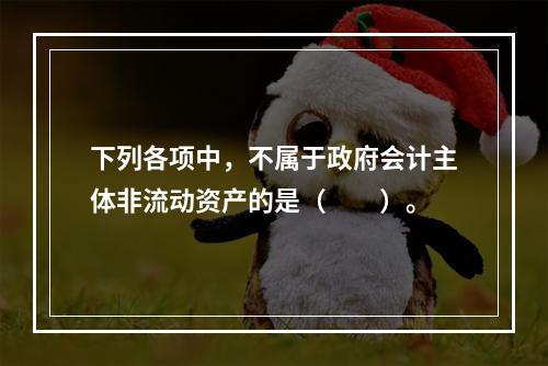 下列各项中，不属于政府会计主体非流动资产的是（　　）。