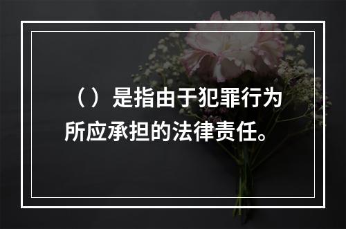 （ ）是指由于犯罪行为所应承担的法律责任。