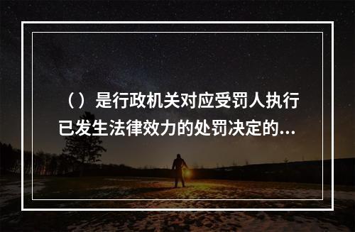 （ ）是行政机关对应受罚人执行已发生法律效力的处罚决定的程序