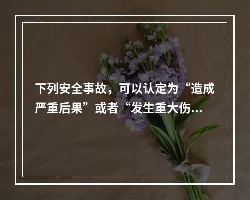 下列安全事故，可以认定为“造成严重后果”或者“发生重大伤亡事