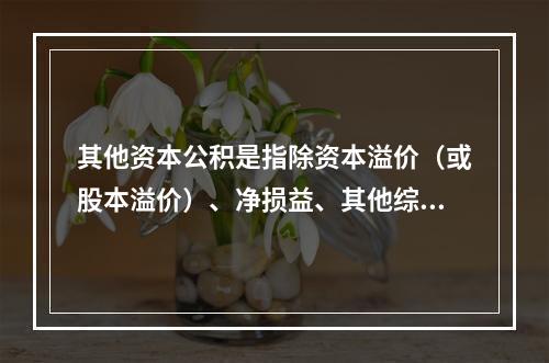 其他资本公积是指除资本溢价（或股本溢价）、净损益、其他综合收