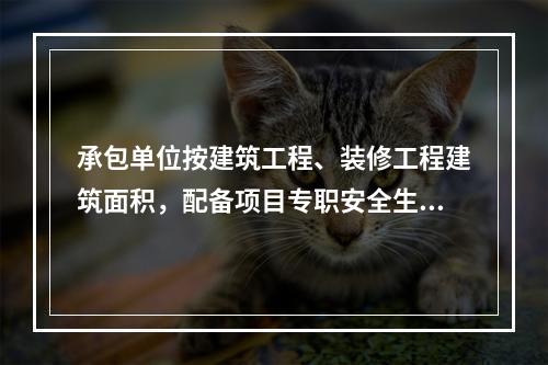 承包单位按建筑工程、装修工程建筑面积，配备项目专职安全生产管