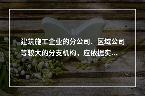 建筑施工企业的分公司、区域公司等较大的分支机构，应依据实际生