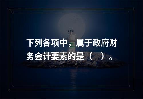 下列各项中，属于政府财务会计要素的是（　）。