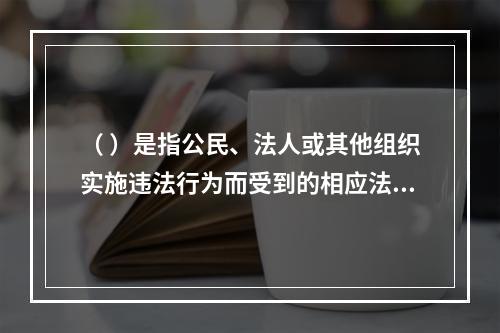 （ ）是指公民、法人或其他组织实施违法行为而受到的相应法律制