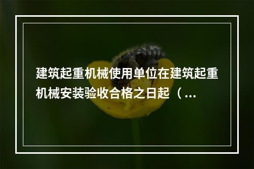 建筑起重机械使用单位在建筑起重机械安装验收合格之日起（ ）日