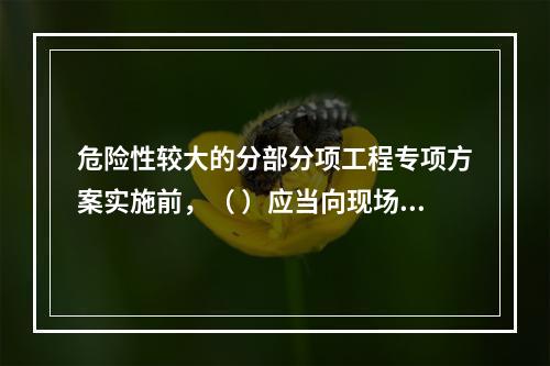 危险性较大的分部分项工程专项方案实施前，（ ）应当向现场管理