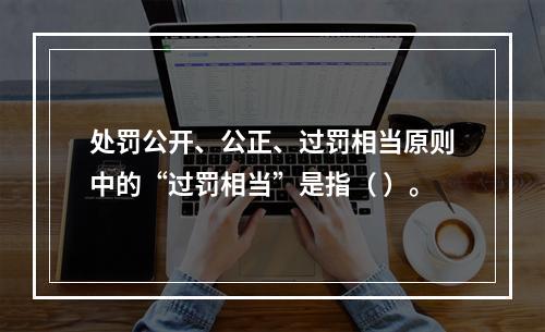 处罚公开、公正、过罚相当原则中的“过罚相当”是指（ ）。