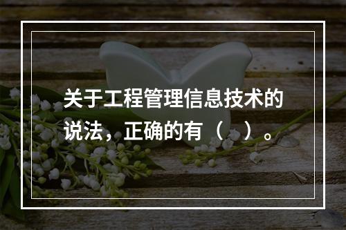 关于工程管理信息技术的说法，正确的有（　）。