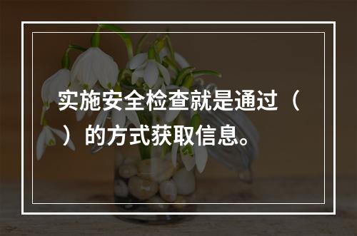 实施安全检查就是通过（ ）的方式获取信息。