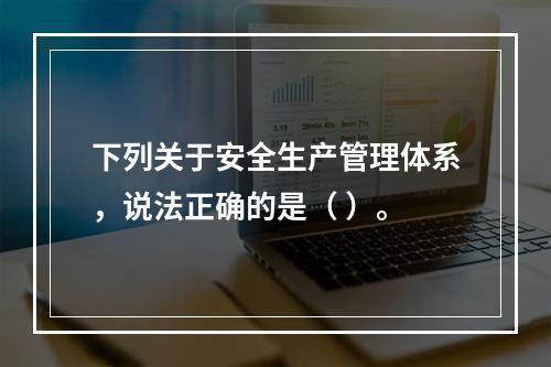 下列关于安全生产管理体系，说法正确的是（ ）。