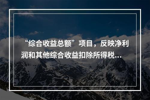 “综合收益总额”项目，反映净利润和其他综合收益扣除所得税影响