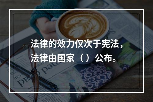 法律的效力仅次于宪法，法律由国家（ ）公布。