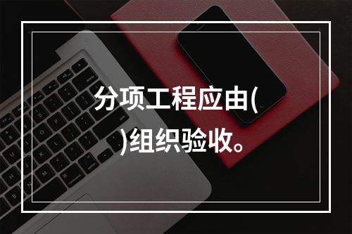 分项工程应由(　　)组织验收。