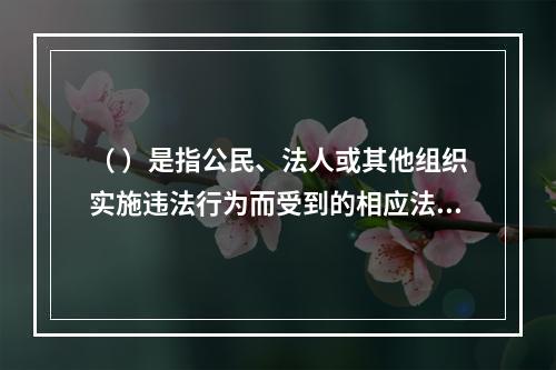 （ ）是指公民、法人或其他组织实施违法行为而受到的相应法律制