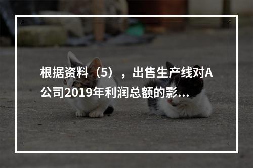 根据资料（5），出售生产线对A公司2019年利润总额的影响金