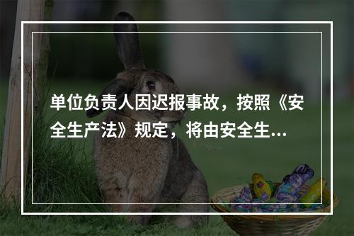 单位负责人因迟报事故，按照《安全生产法》规定，将由安全生产监