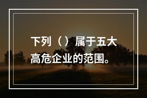 下列（ ）属于五大高危企业的范围。