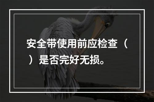 安全带使用前应检查（ ）是否完好无损。