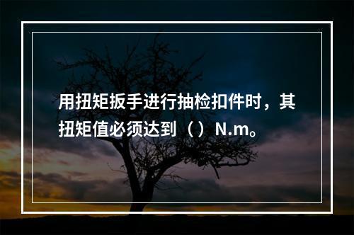 用扭矩扳手进行抽检扣件时，其扭矩值必须达到（ ）N.m。