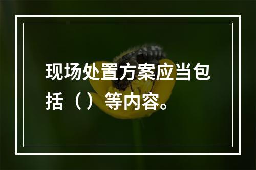 现场处置方案应当包括（ ）等内容。