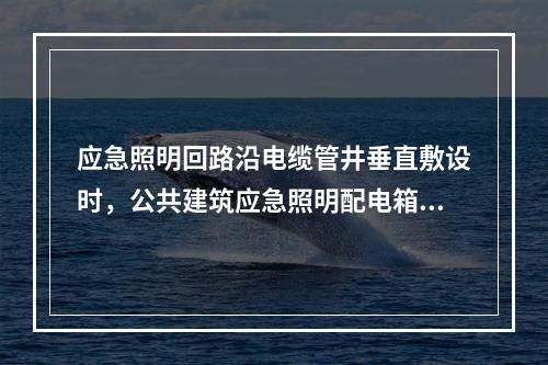 应急照明回路沿电缆管井垂直敷设时，公共建筑应急照明配电箱供电