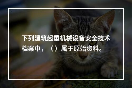 下列建筑起重机械设备安全技术档案中，（ ）属于原始资料。