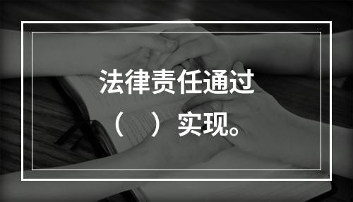 法律责任通过（　）实现。