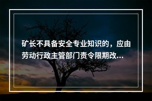 矿长不具备安全专业知识的，应由劳动行政主管部门责令限期改正，