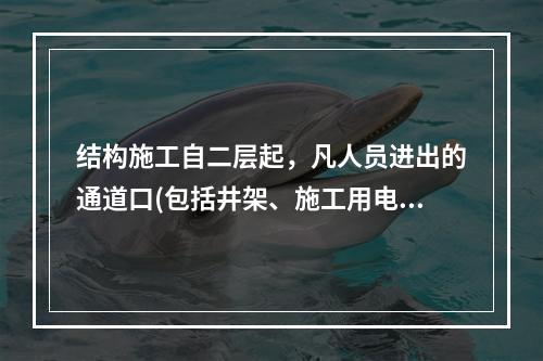 结构施工自二层起，凡人员进出的通道口(包括井架、施工用电梯的