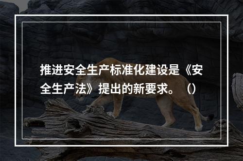 推进安全生产标准化建设是《安全生产法》提出的新要求。（）