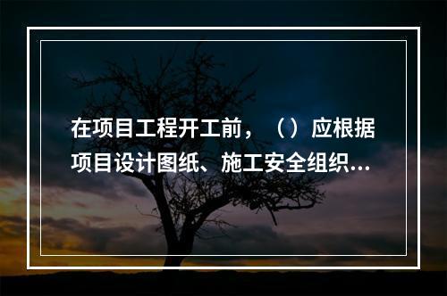 在项目工程开工前，（ ）应根据项目设计图纸、施工安全组织设计