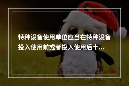 特种设备使用单位应当在特种设备投入使用前或者投入使用后十日内