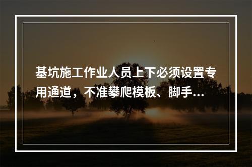 基坑施工作业人员上下必须设置专用通道，不准攀爬模板、脚手架，