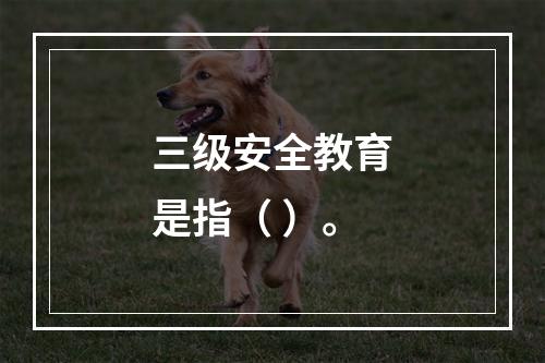 三级安全教育是指（ ）。