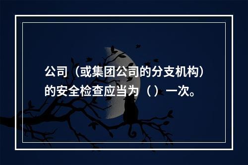 公司（或集团公司的分支机构）的安全检查应当为（ ）一次。